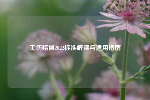工伤赔偿2022标准解读与适用指南